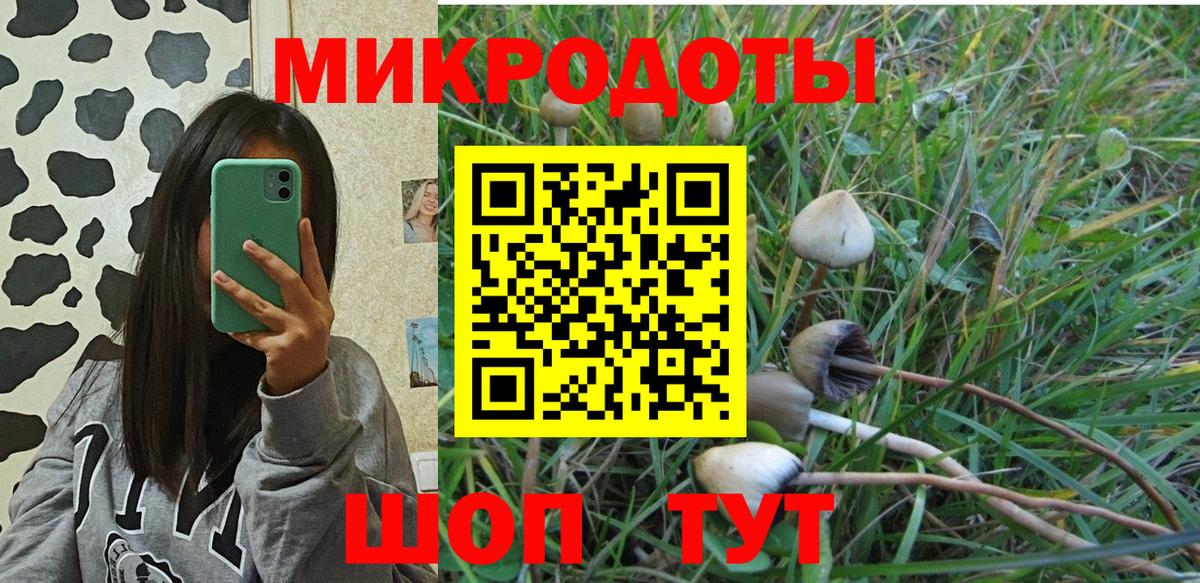 Псилоцибиновые грибы ЛСД Бахчисарай